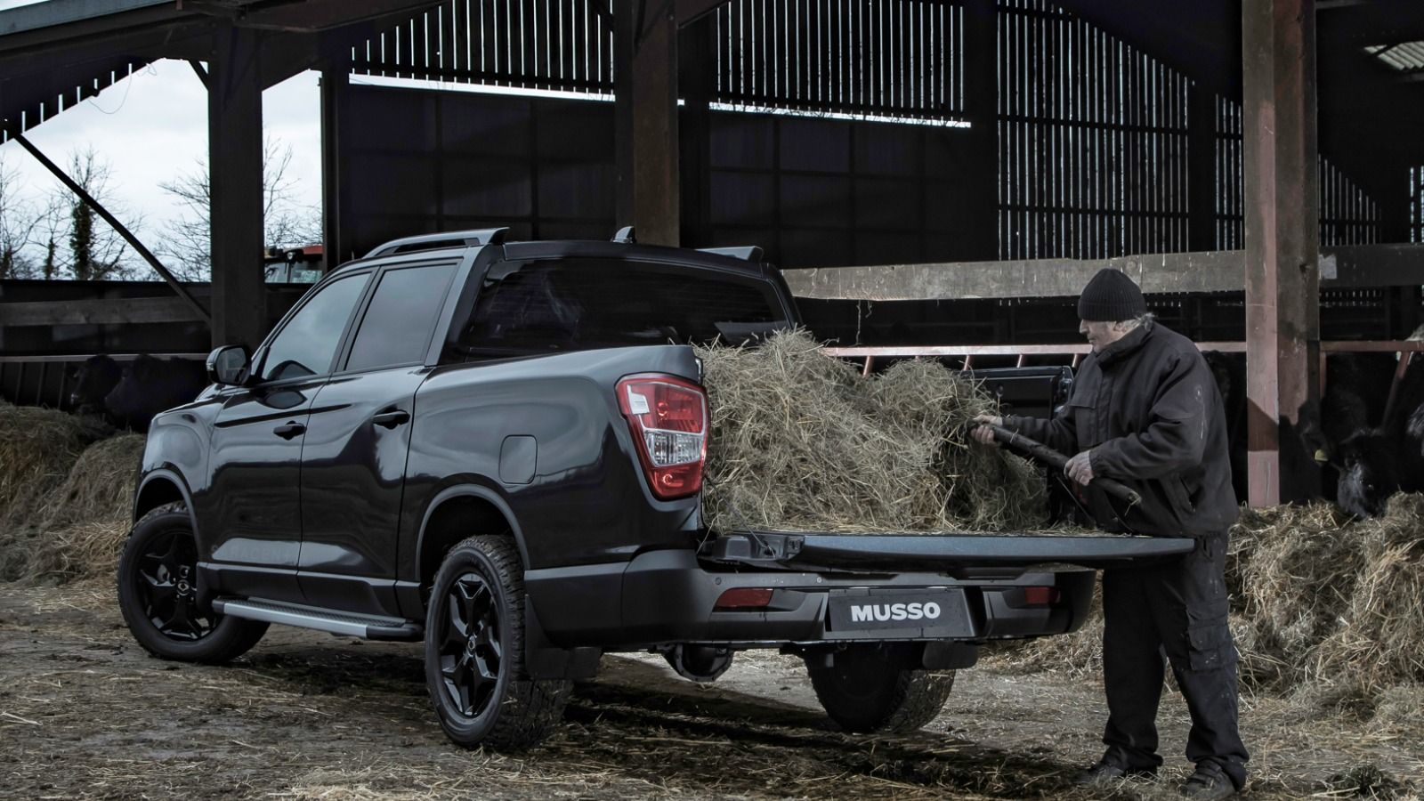 Musso handling daily work tasks