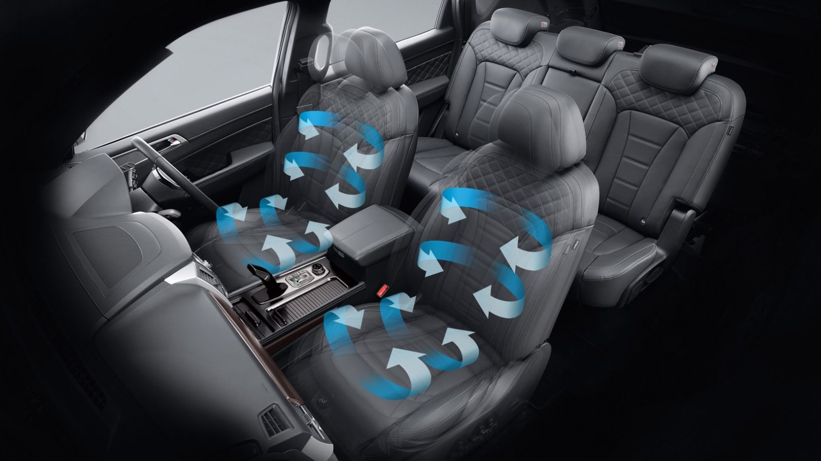 Comfortable and spacious interior of Musso