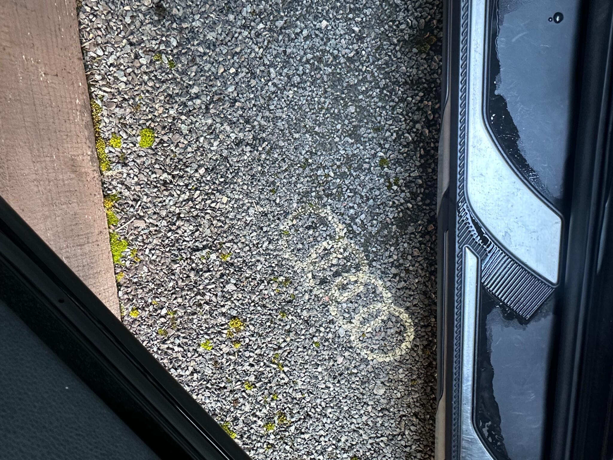 Audi SQ5 3.0 TDI V6 Tiptronic quattro Euro 6 (s/s) 5dr 5dr Automatic 2026