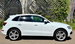Audi Q5 2.0 TDI S line Plus Special Edition S Tronic quattro Euro 6 (s/s) 5dr 5dr Automatic 2017