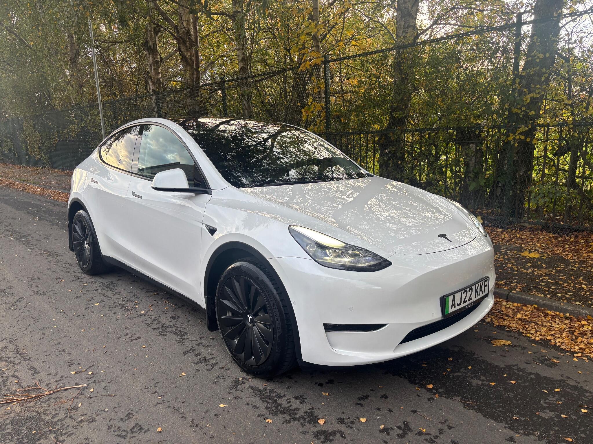 Tesla Model Y Dual Motornull