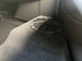 Toyota Supra 3.0T GR Pro Auto Euro 6 (s/s) 3dr 3dr Automatic 2020