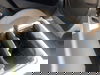BMW X1 2.0 20d xLine Auto xDrive Euro 6 (s/s) 5dr 5dr Automatic 2025