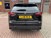 Lexus NX 2.5 300h Premier E-CVT 4WD Euro 6 (s/s) 5dr 5dr Automatic 2026