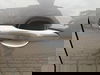 Mazda Mazda2 hybrid 1.5h Pure CVT Euro 6 (s/s) 5dr 5dr Automatic 2025