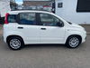 Fiat Panda 1.2L Easy Hatchback 5dr Petrol Manual Euro 5 (69 bhp) 5dr Manual 2025