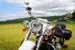 Harley-Davidson Softail Softail  0dr  2005
