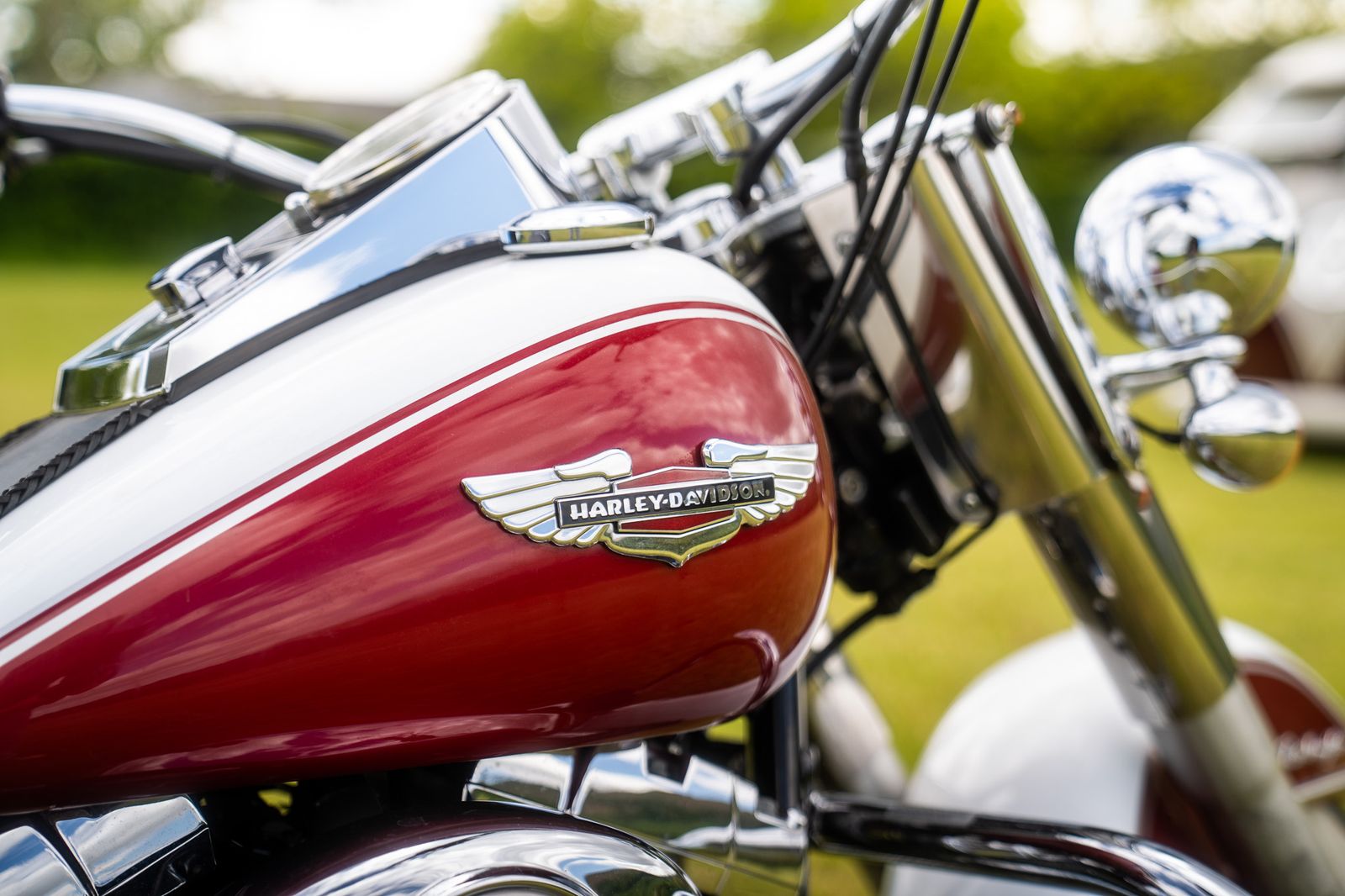 Harley-Davidson Softail