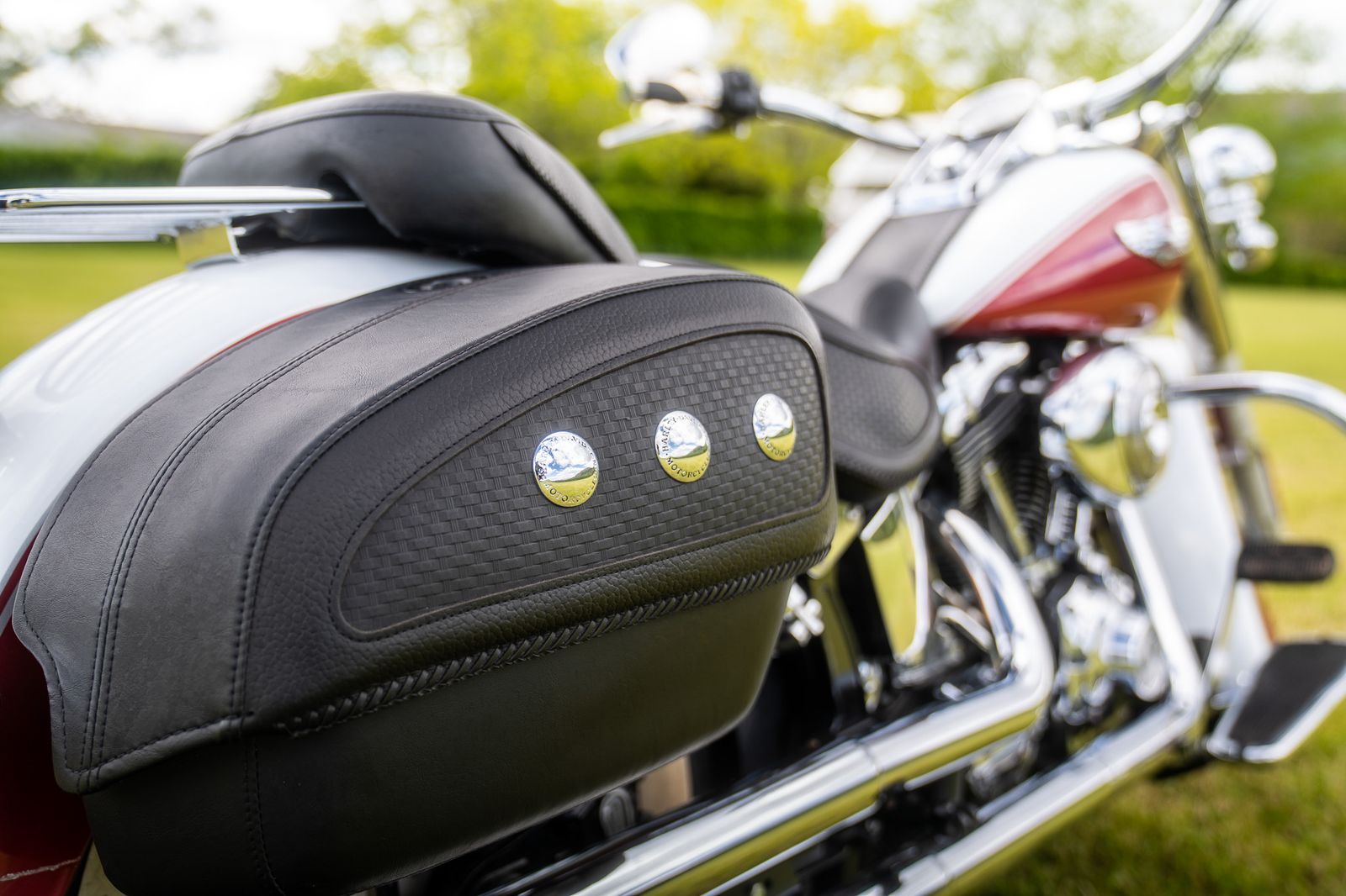 Harley-Davidson Softail