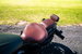Indian Scout bobber twenty 1133 Custom Cruiser Petrol Manual Euro 5 (95 ps) 0dr Manual 2021