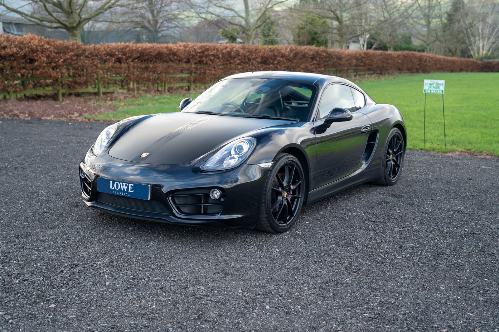 Porsche Cayman