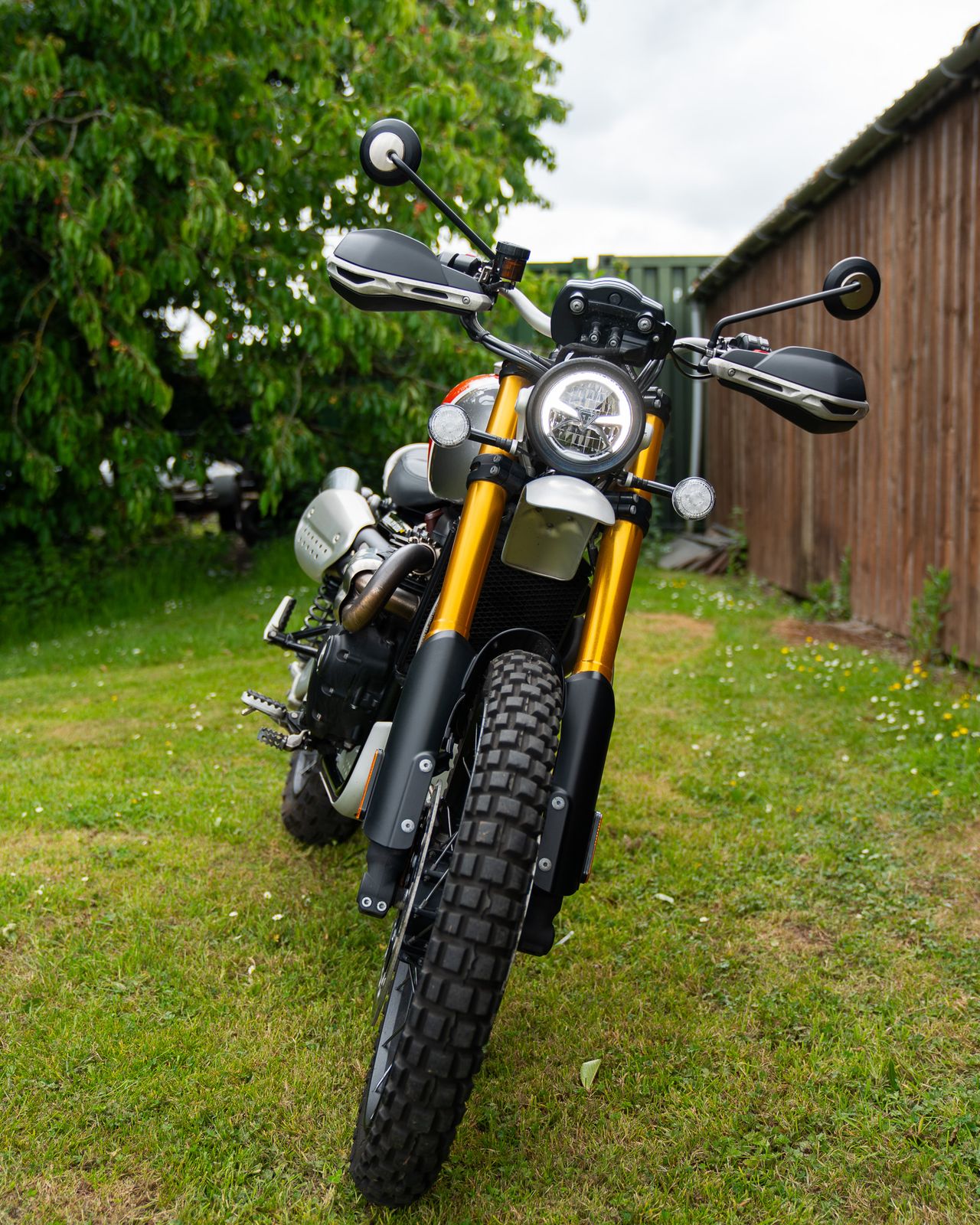 Triumph Scrambler 1200 xe