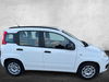 Fiat Panda TWINAIR EASY 5dr Manual 2026