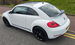 Volkswagen Beetle 2.0 TDI Sport Hatchback 3dr Diesel DSG Euro 5 (140 ps) 3dr Automatic 2014