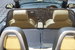 Audi A3 Cabriolet 1.6 TDI Sport Euro 5 (s/s) 2dr 2dr Manual 2010
