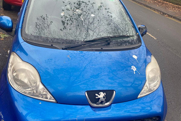 PEUGEOT 107 - Detail 1