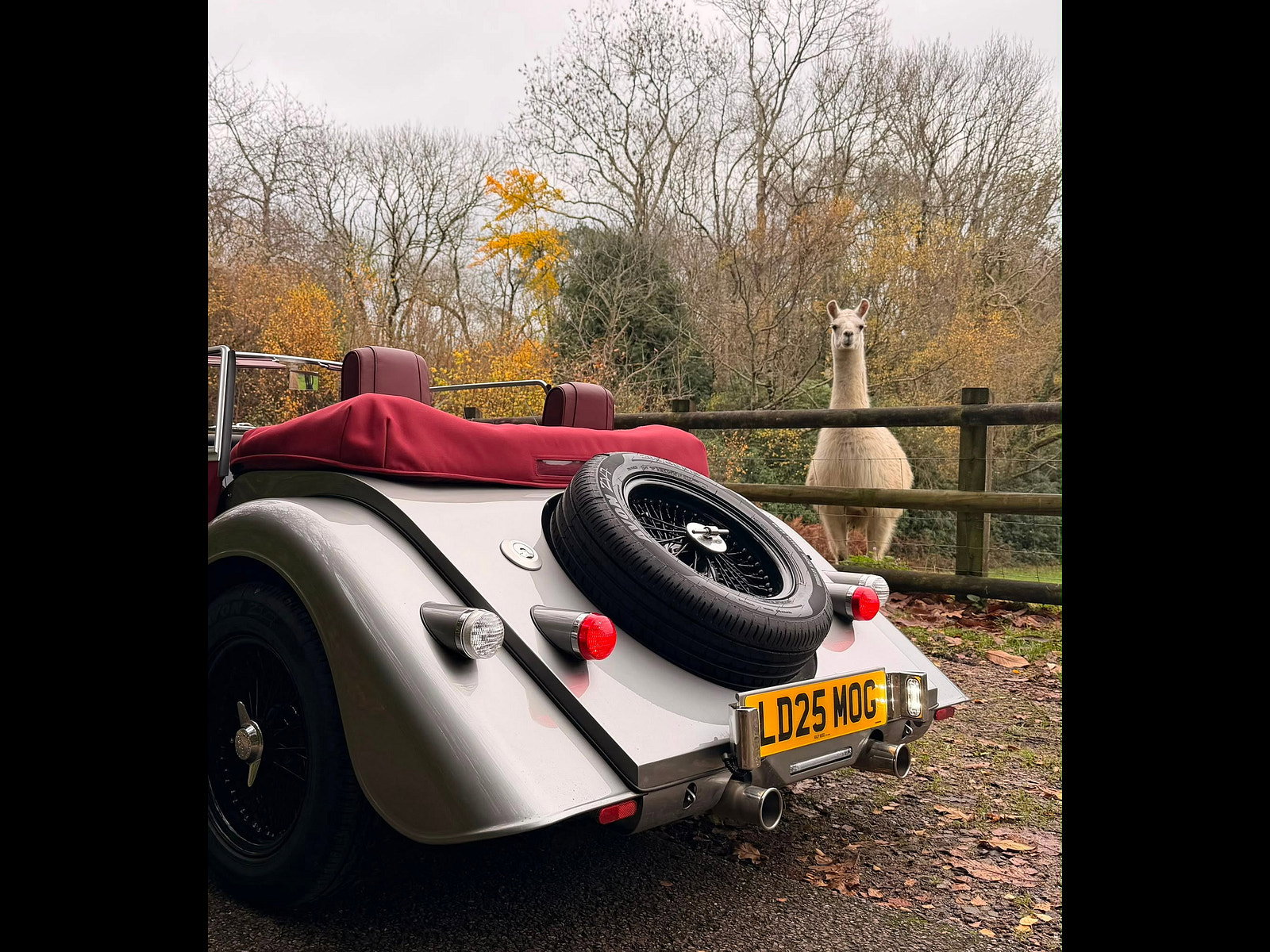 Morgan Plus Four 2.0i Convertible 2dr Petrol Auto Euro 6 (s/s) (258 ps) 2dr Automatic 2025