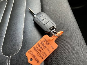 Citroen C4 Cactus thumbnail