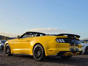 Ford Mustang thumbnail