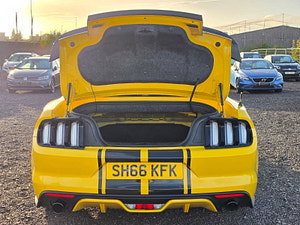 Ford Mustang thumbnail