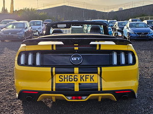Ford Mustang thumbnail