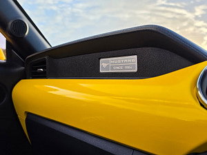 Ford Mustang thumbnail