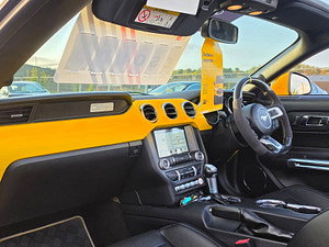 Ford Mustang thumbnail