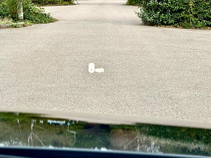 BMW 3 Series thumbnail