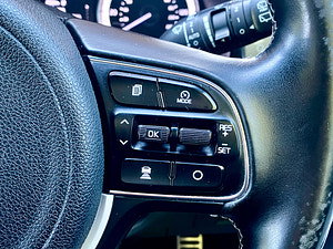 Kia Niro thumbnail