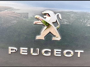 Peugeot 3008 thumbnail