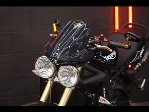 Triumph Street Triple 675 thumbnail