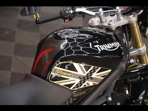 Triumph Street Triple 675 thumbnail