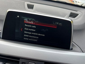 BMW X1 thumbnail