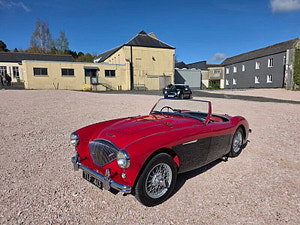 Austin Healey thumbnail
