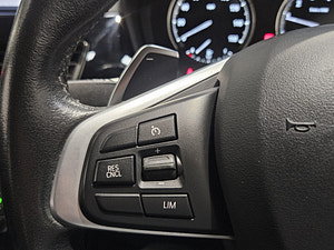 BMW X1 thumbnail