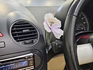 Volkswagen Beetle thumbnail