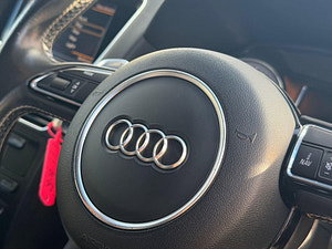 Audi SQ5 thumbnail
