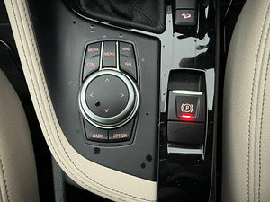 BMW X1 thumbnail