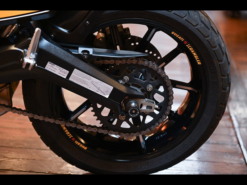 DUCATI Scrambler 800 *Stunning Condition Throughout*  0dr Manual 2026