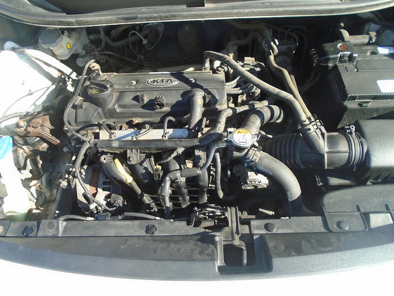Kia Rio 1.25 1 Hatchback 3dr Petrol Manual Euro 5 (84 bhp) 3dr Manual 2026