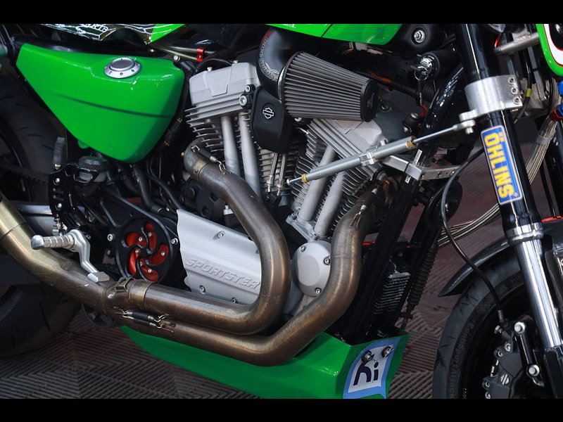 Harley-Davidson Sportster XR1200 AMA Pro Vance & Hines cup