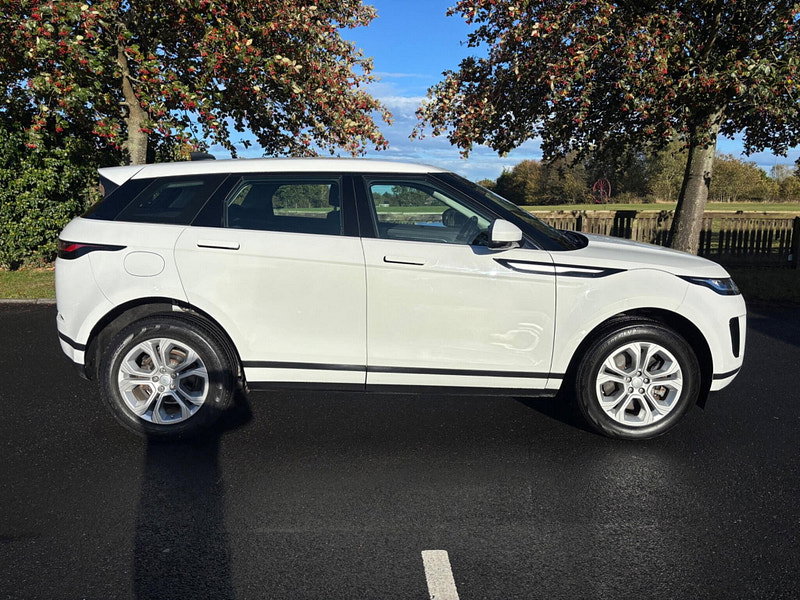 2019 Land Rover Range Rover Evoque in White, photo 8 of 15