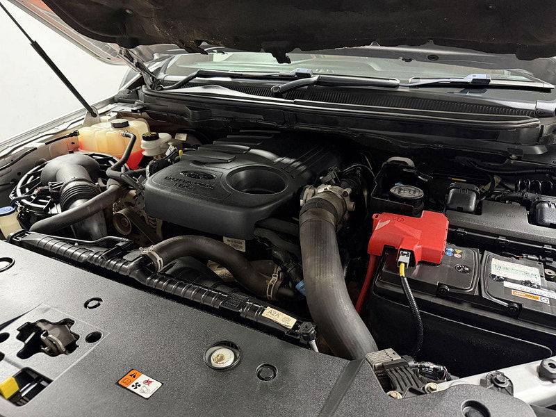 Ford Ranger 3.2 TDCi Wildtrak Pickup Double Cab 4dr Diesel Auto 4WD Euro 5 (200 ps) 4dr Automatic 2026