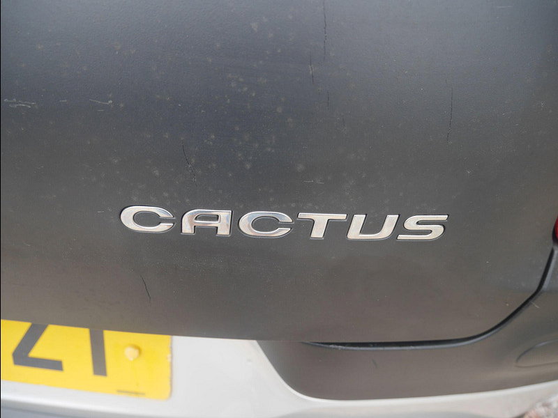 Citroen C4 Cactus 1.2 PureTech Flair Hatchback 5dr Petrol Manual Euro 6 (Euro 6) (82 ps) 5dr Manual 2026