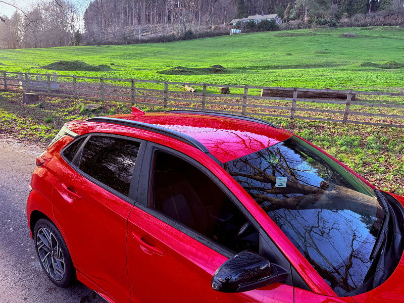 Hyundai Kona 1.0 T-GDi MHEV N Line SUV 5dr Petrol Hybrid Manual Euro 6 (s/s) (120 ps) 5dr Manual 2025