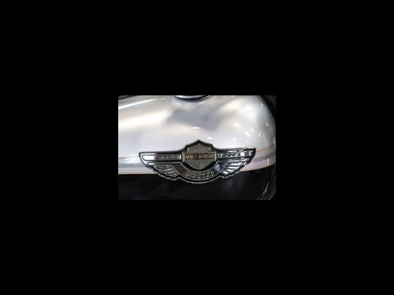 Harley-Davidson Softail Soft Tail Deuce FXSTD 100th Anniversary 0dr Manual 2026