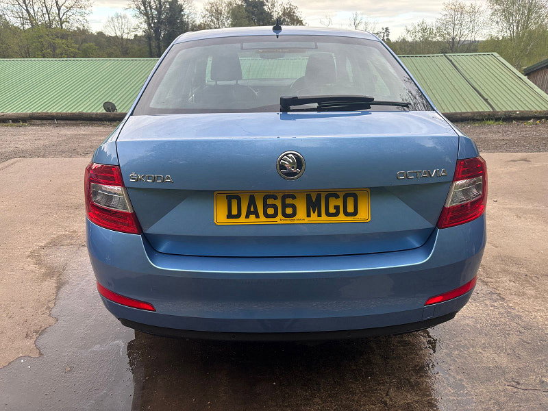 Skoda Octavia 1.6 TDI SE L Hatchback 5dr Diesel DSG Euro 6 (s/s) (110 ps) 5dr Automatic 2026